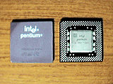 Pentium & P55C