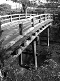 橋(モノクロ)