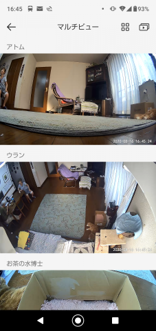 特集 エッジaiペット検知がスゴク賢い 爆安2 500円のネットワークカメラ Atom Cam 女子もニャンコも大喜び そしておっさんは歓喜 感涙 Pc Watch