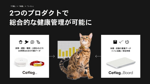 バイオロギングで7億件の行動データを解析、「猫様」を総合的に健康 