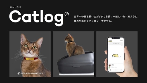 バイオロギングで7億件の行動データを解析、「猫様」を総合的に健康 