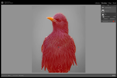 Adobe Lightroomに新設計の「マスク」機能実装へ。被写体の選択や空の