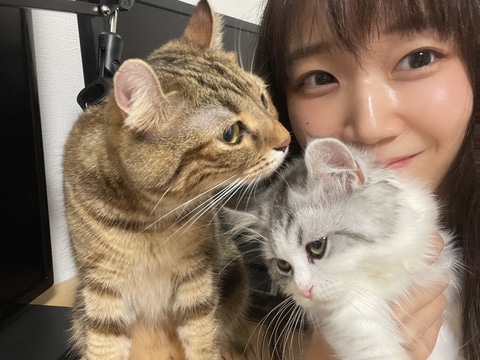 特集 Lineスタンプの作り方 絵心は不要 スマホだけで誰でも手軽に作成可能 Pc Watch 特集 Lineスタンプの作り方 絵心は不要 スマホだけで誰でも手軽に作成可能 Pc Watch