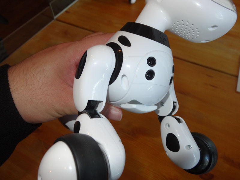 画像 タカラトミー 2輪ロボット ハローミップ と犬型ロボット ハローズーマー Omnibot ブランドのロボットが復活 12 23 Pc Watch