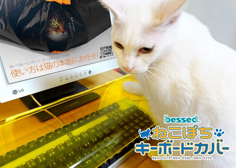 猫とキーボードの共存を実現する ねこぽちキーボードカバー Pc Watch
