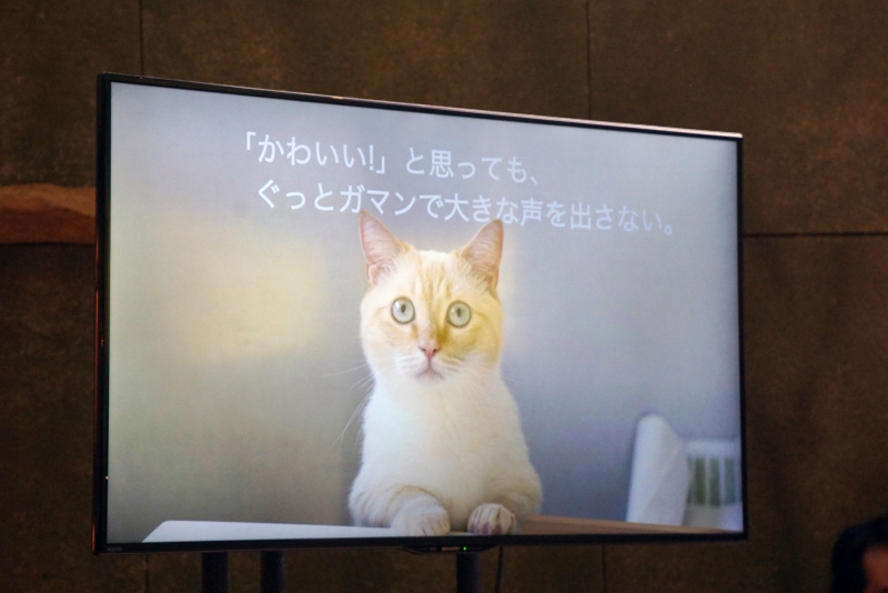 画像 やじうまpc Watch 猫レベル1の記者が一気に猫レベル10に上がったわけ アドビが猫の日に 猫モテ 撮影講座を開催 9 95 Pc Watch