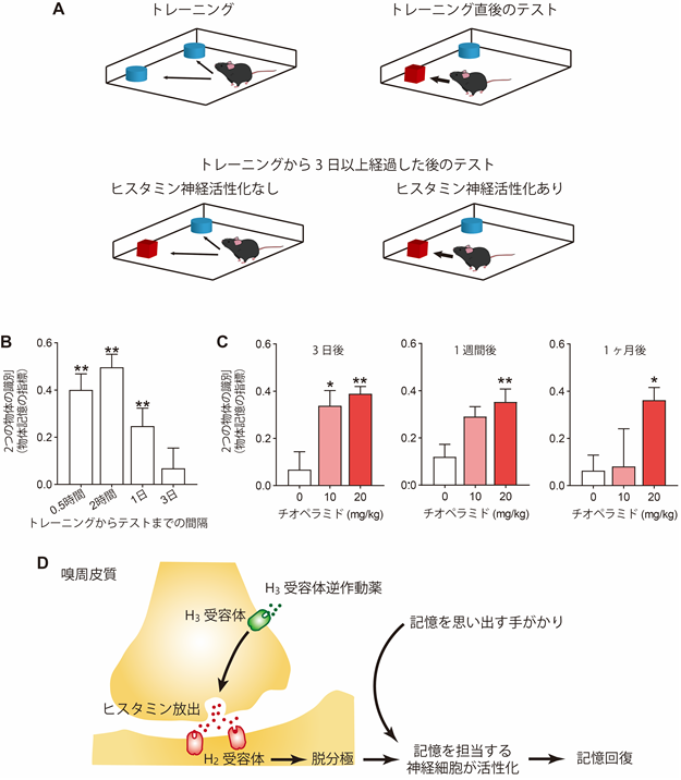 やじうまpc Watch 既存の薬 忘れた記憶を取り戻す効果 Pc Watch