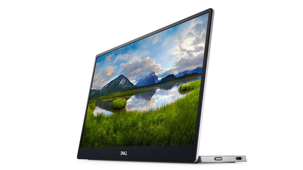 DELL モバイル液晶ディスプレイ C1422Hディスプレイ - ディスプレイ