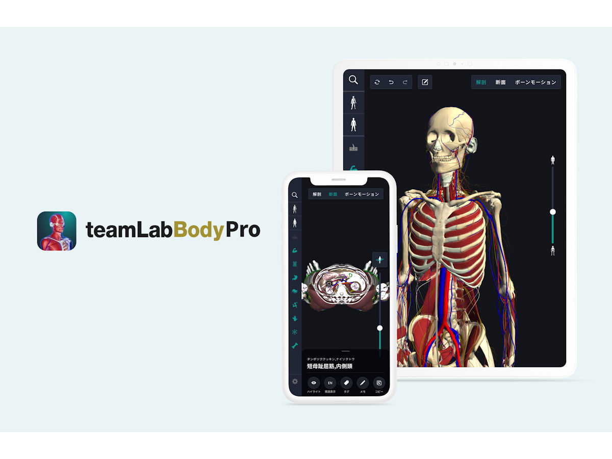 チームラボ、人体のあらゆる構造が閲覧できる3D人体解剖学アプリ