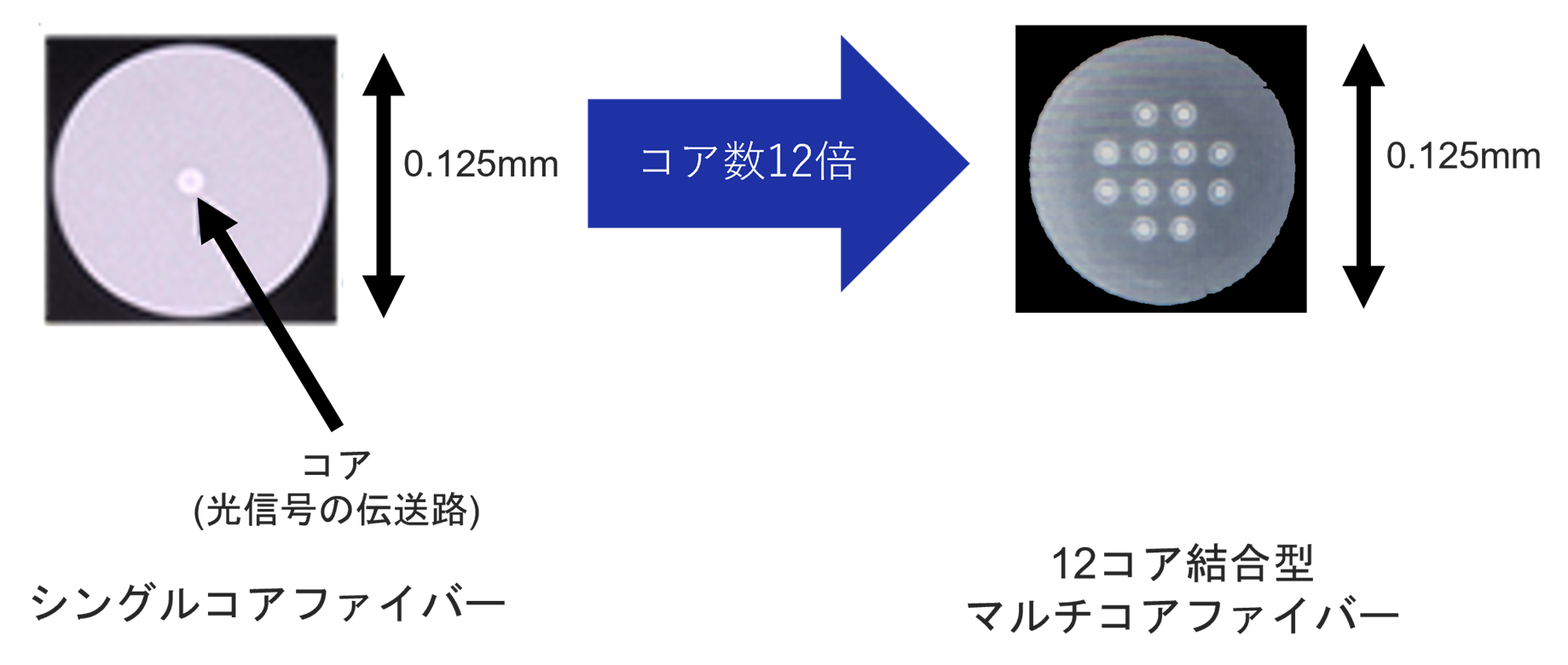 12コア光ファイバーで7