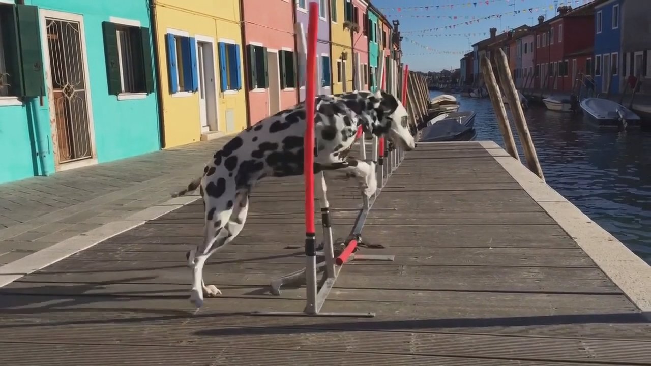 画像が削除されました